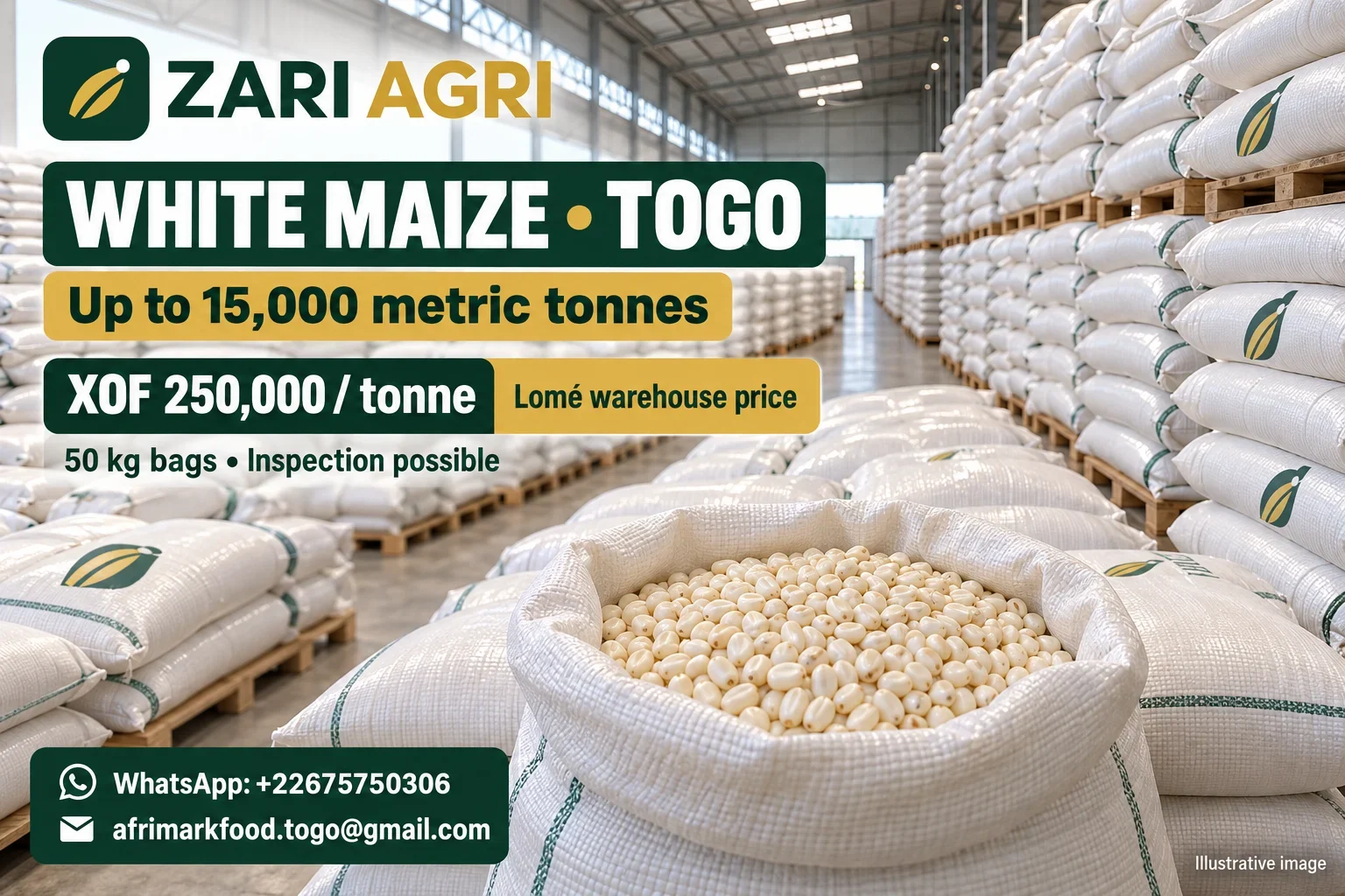 White Maize from Togo – Up to 15,000 Tonnes – Lomé Warehouse