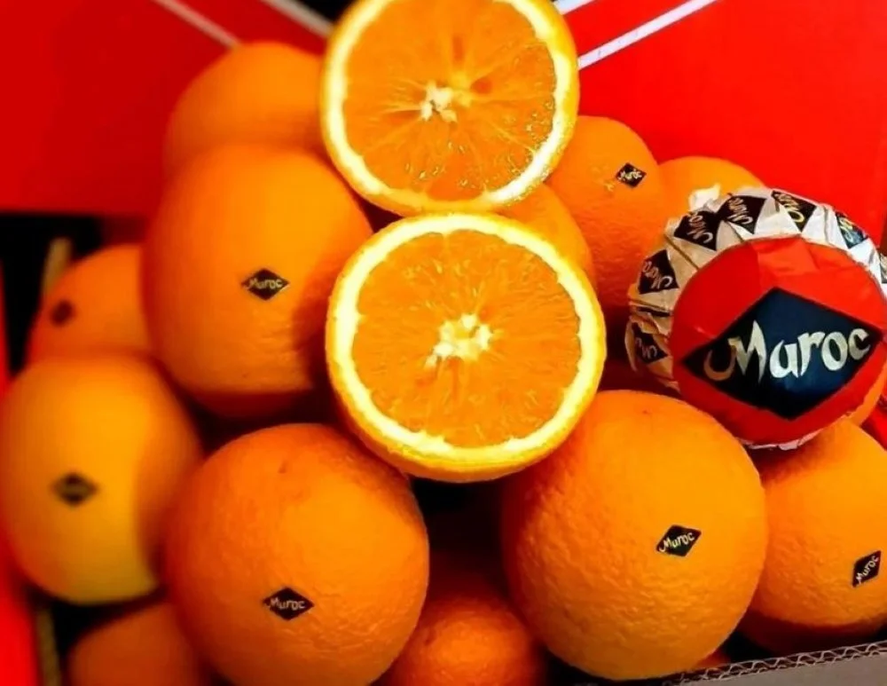 ORANGES FRAÎCHES 🇲🇦🍊