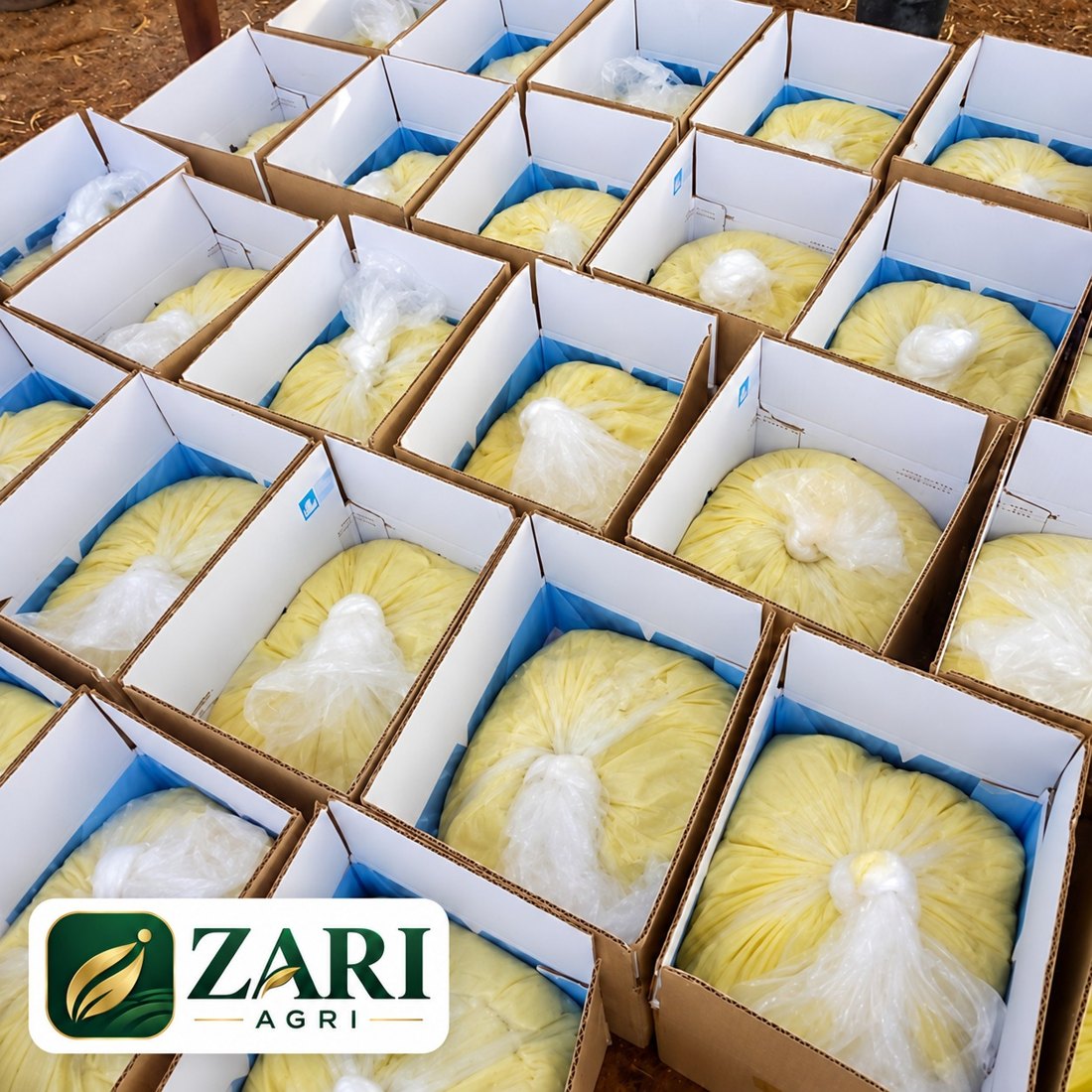 Beurre de karité en cartons, prêt pour votre projet export.